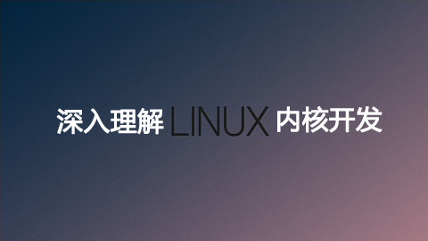 深入理解Linux内核开发