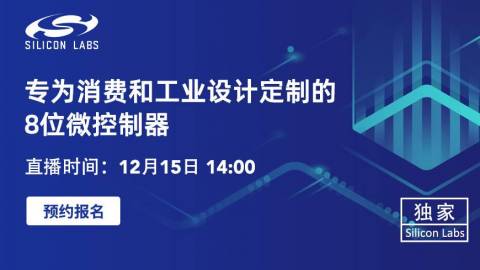 专为消费和工业设计定制的8位微控制器