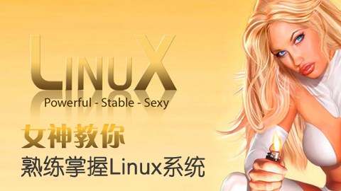 熟练掌握Linux系统