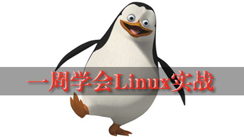 一周学会Linux实战